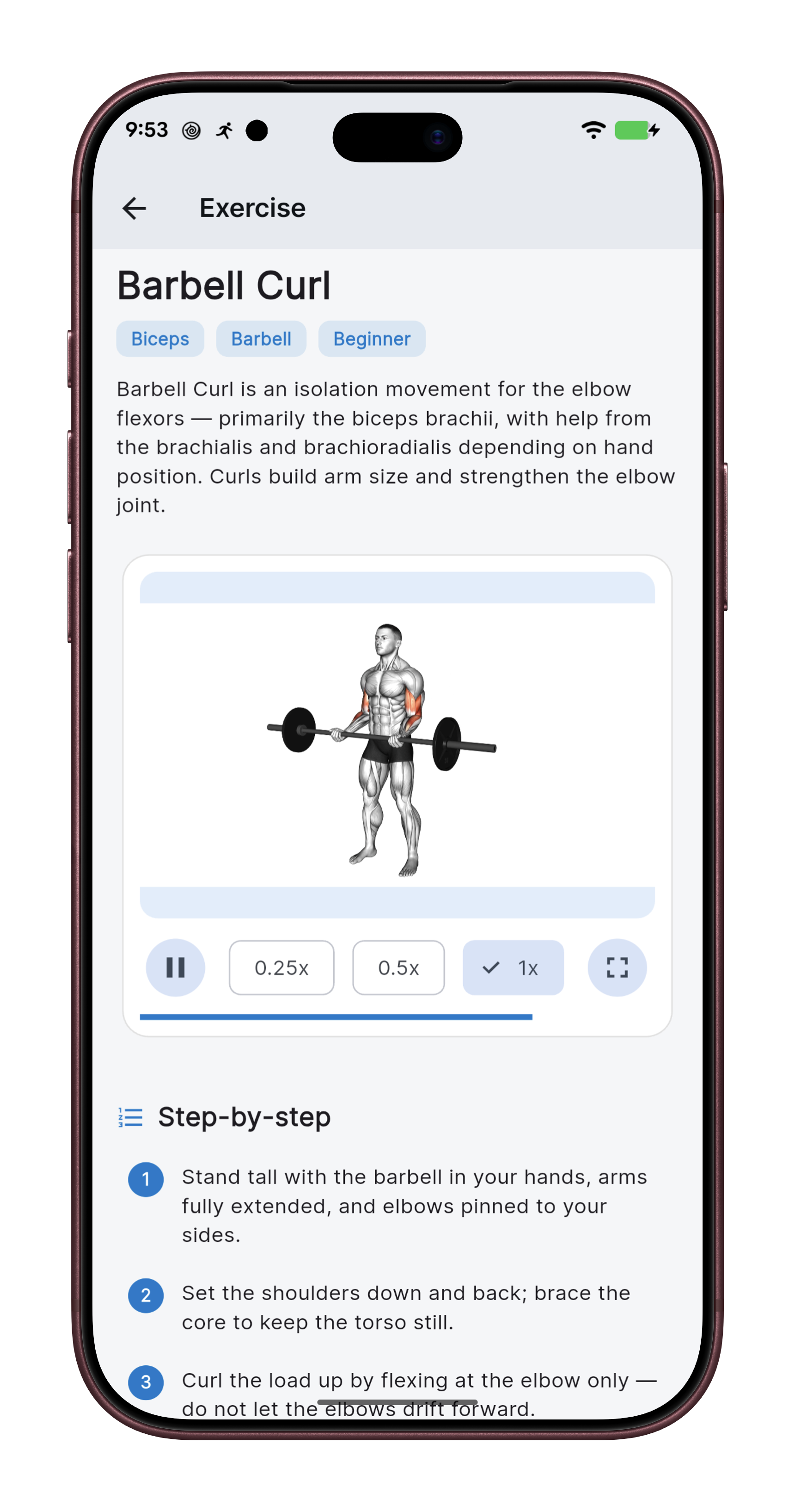 Exercise demo video with instructions and muscle targeting